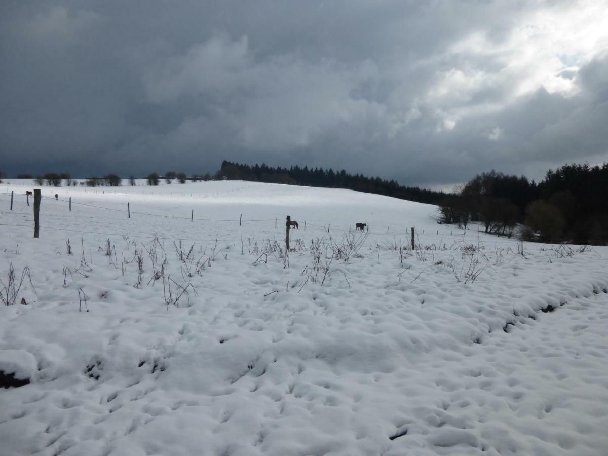 Willa Le Relais De La Houille Sart-Custinne Zewnętrze zdjęcie